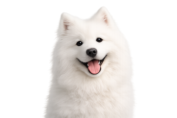 Reduces Shedding by up to 90%