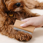Pet Hair Removal Comb