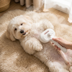 Steam Grooming Brush for Dogs